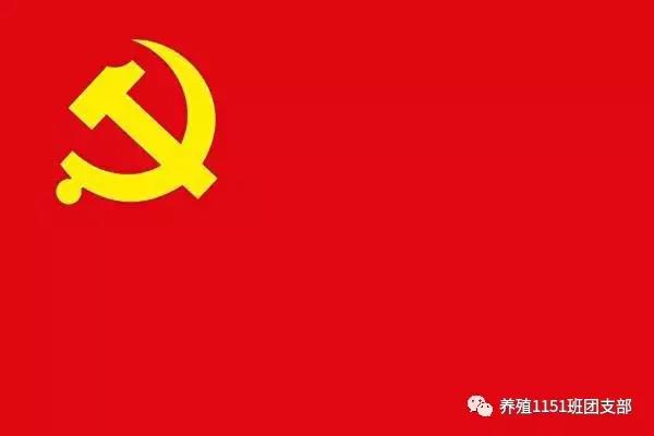 C:\Users\Administrator\Desktop\官网\81.jpg
