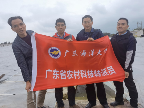 英国365集团