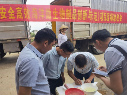 英国365集团